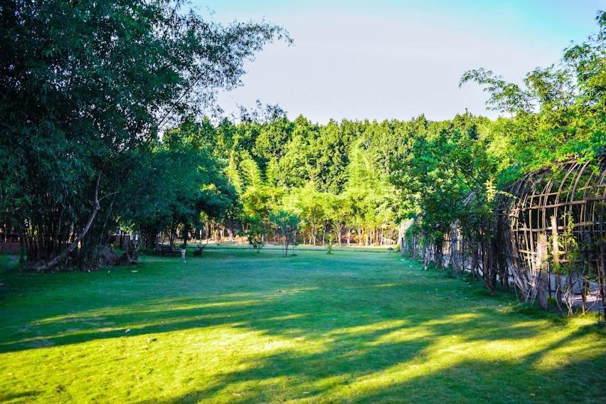 Bougainvillea Retreat & Spa Kaharpara Exterior photo